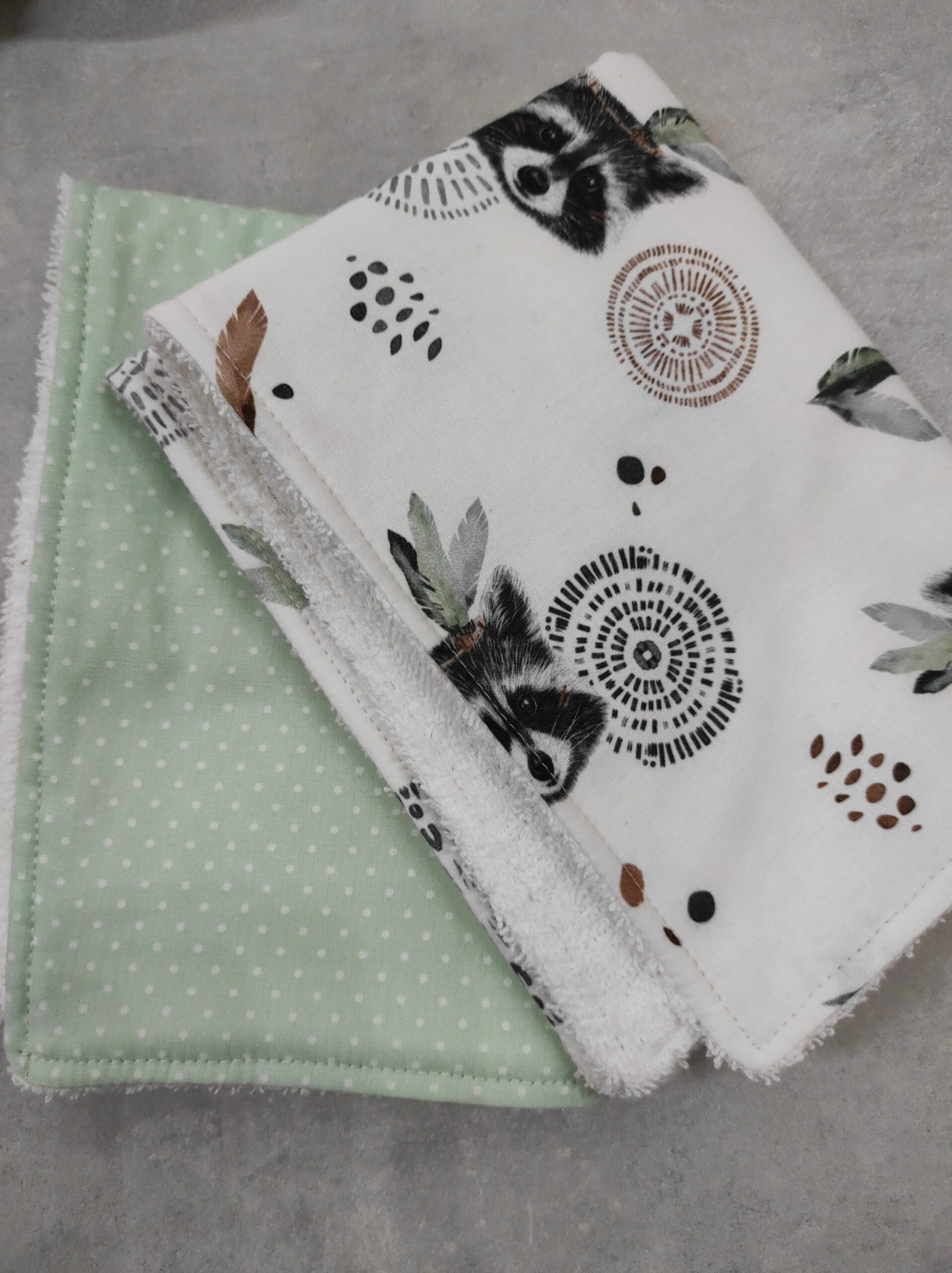 raccoon-scaled-2.jpg Racoon - Mint Poua - Image 1